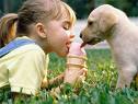 icecream pup